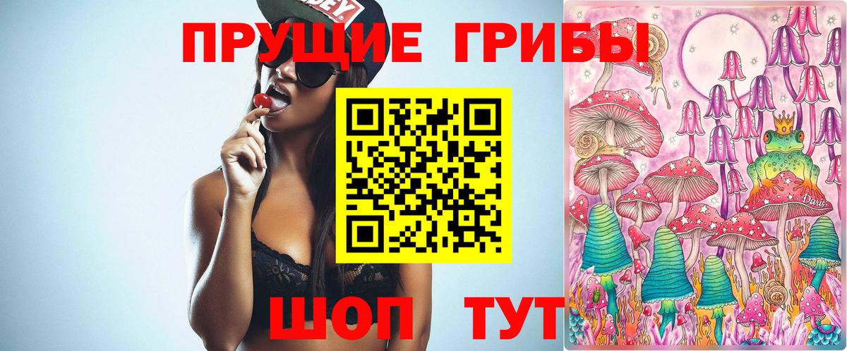 Галлюциногенные грибы Cubensis  Псилоцибиновые грибы Cubensis  Вход с VPN  Гурьевск 
