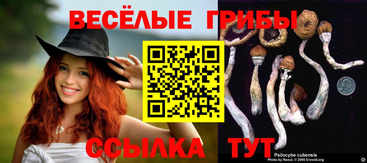 Псилоцибиновые грибы Magic Shrooms Гурьевск